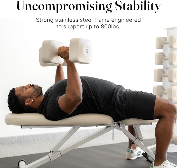 WeGym Workout Bench, Adjustable and Collapsible for Home Gym Training | Adjustable and collapsible design, comfortable bench, home gym strength training