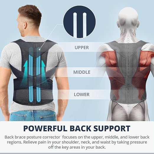 Fitsupport Back Brace Posture Corrector for Women and Men Back Lumbar Support Shoulder Posture Support for Improve Posture Provide and Back Pain Relief Medium(Pack of 1)