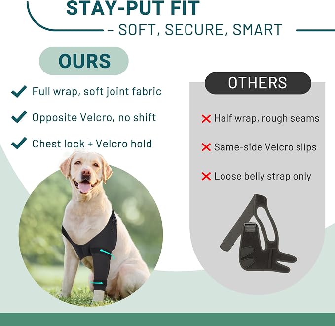 Dog Elbow Protector Brace, Dog Leg Sleeves Anti-Licking for Arthritis, Hygroma, Pressure Sores, and Calluses, Dogs Elbows Pads & Shoulder Brace for Elbow Dysplasia and Injury Recovery, Right XXL
