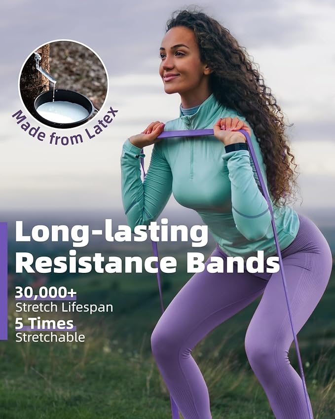 Fitense Resistance Bands Set - Pull Up Bands for Men Women, Exercise Bands Resistance with Door Anchor, Training Poster & Pouch for Body Stretching, Pull Up Assist