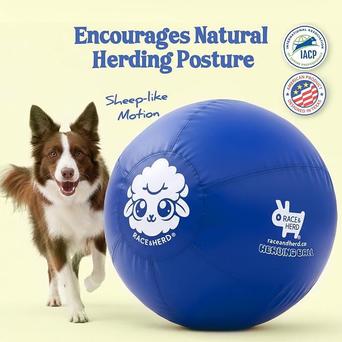 Race&Herd 22" Original Herding Ball for Dogs — Balls for Dog Toys (Ocean) | Medium Herding Ball for Australian Shepherd, Border Collie, Corgi & Blue Heeler, Instinct-Driven Outdoor Exercise