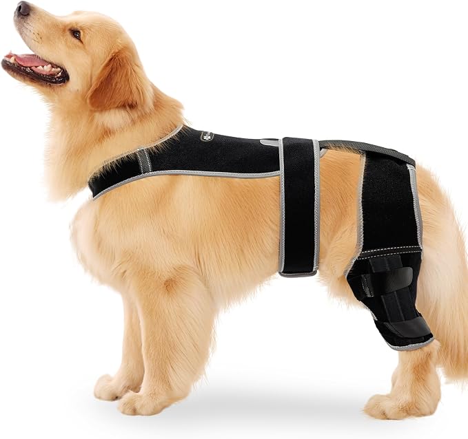 Snagle Paw Dog Knee Braces for Back Legs, ACL/CCL Support, XXL | Double-leg support, 4 reinforced stays, triple anti-slip fit, for walks, recovery, post-op care