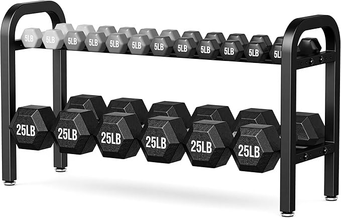 2 Tier Dumbbell Rack, Weight Rack for Home Gym, 300 lb Capacity