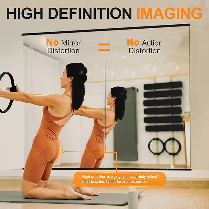 Delma Home Gym Mirror, 54''x28''x2PCS Black Wall Mounted Large Frameless Tempered Glass Wall Mirror for Home Gym, Garage, Bedroom, Bathroom