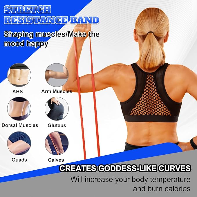 Resistance Bands Set for Men & Women - 4 Levels Exercise Band with Door Anchor, Pull Up Bands for Strength Training, Stretching, Powerlifting, Home Workouts