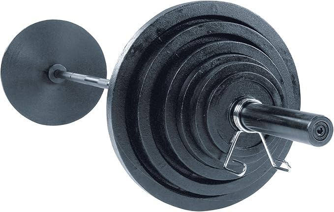 Body-Solid Cast Iron Olympic Weight Plate Set - Free Weights, Dumbbell Plates, 2 Inch Standard Hole for All Barbell Types, Weight Sets