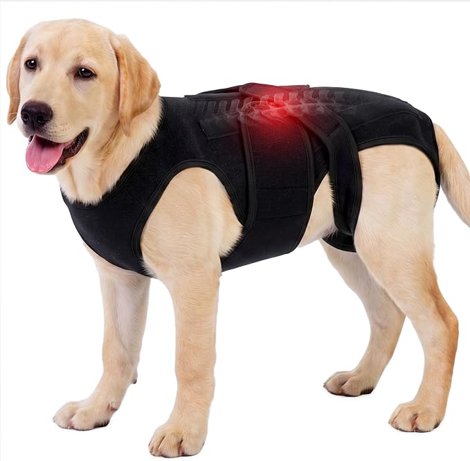 Dog Back Brace for IVDD Recovery, Adjustable Dog Spine Support Harness for Dachshund Corgi French Bulldog Pug, Pain Relief Back Protector for Senior,Post‑Surgery,Long‑Bodied & Overweight Dogs, 2XL