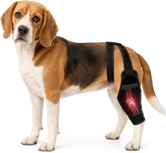Dog Knee Brace for Torn ACL CCL, Support Dog Leg Braces for Back Leg to Prevent Slipping, Hind Leg Support for Dog Joint Pain Recovery, Luxating Patella, Fits Small Medium Large Dogs, L