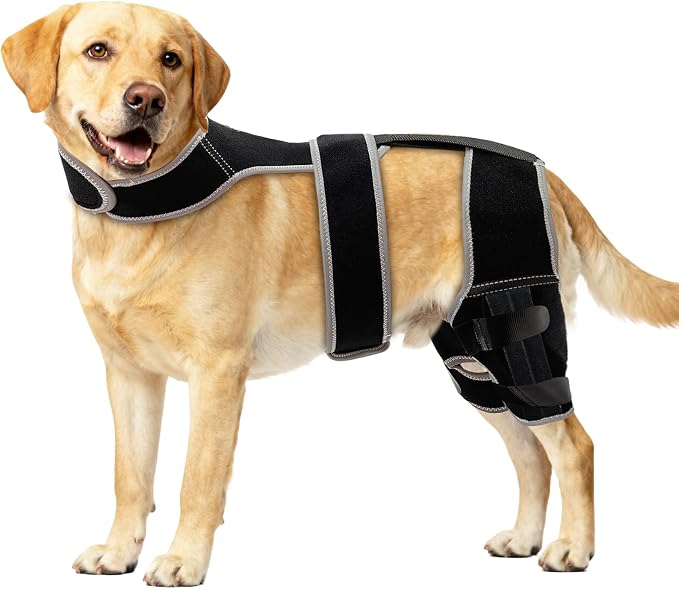 Snagle Paw Dog Knee Braces for Back Legs, ACL/CCL Support, XL | Double-leg support, 4 reinforced stays, triple anti-slip fit, for walks, recovery, post-op care