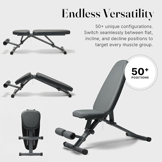 WeGym Workout Bench, Adjustable and Collapsible for Home Gym Training | Adjustable and collapsible design, comfortable bench, home gym strength training