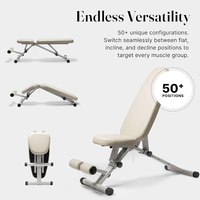WeGym Workout Bench, Adjustable and Collapsible for Home Gym Training | Adjustable and collapsible design, comfortable bench, home gym strength training