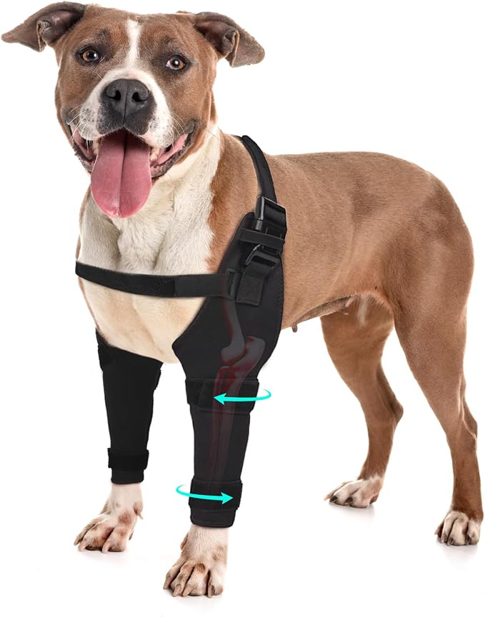 Dog Elbow Protector Brace, Dog Leg Sleeves Anti-Licking for Hygroma, Calluses & Arthritis Relief–Adjustable Dogs Elbows Pads & Shoulder Brace for Elbow Dysplasia and Injury Recovery,Both Leg XL