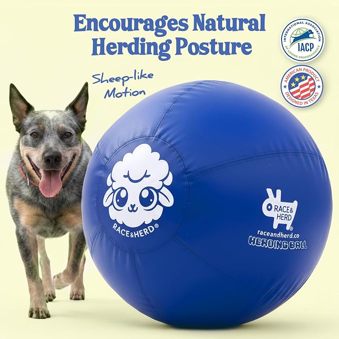 Race&Herd 25" Original Herding Ball for Dogs — Balls for Dog Toys (Ocean) | Large Herding Ball for Australian Shepherd, Border Collie, Corgi & Blue Heeler, Instinct-Driven Outdoor Exercise
