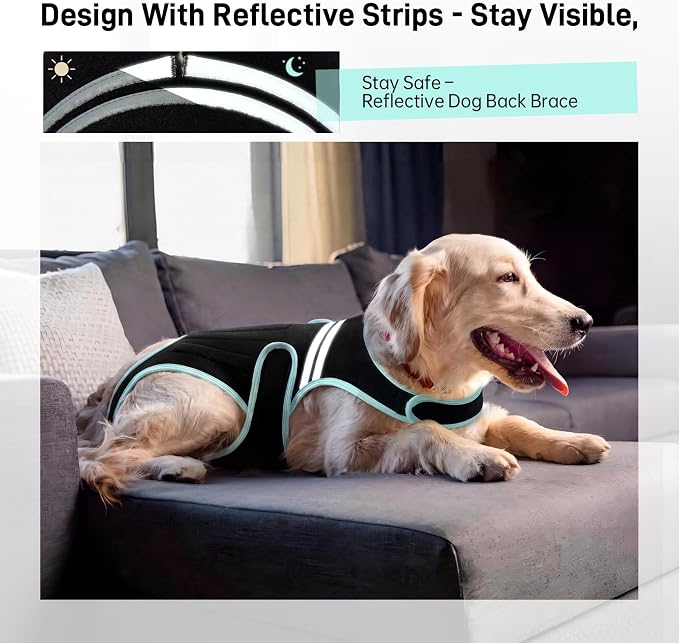 Dog Back Brace, Breathable Dog Post-Surgery Vest for IVDD, Arthritis & Spine Support, Adjustable Reflective Pet Back Bracer Pain-Relieving Harness, Black XS