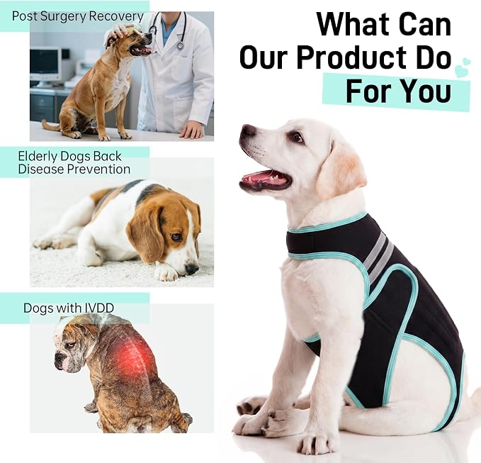 Dog Back Brace, Breathable Dog Post-Surgery Vest for IVDD, Arthritis & Spine Support, Adjustable Reflective Pet Back Bracer Pain-Relieving Harness, Black M