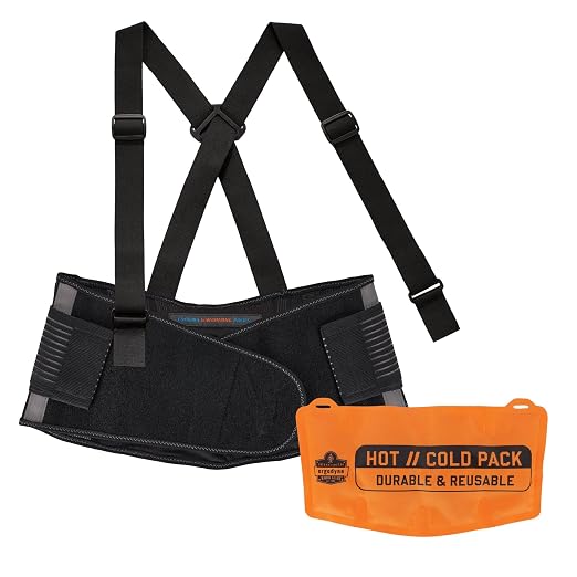 Ergodyne ProFlex 1675 Back Support Brace Belt with Warming and Cooling Pack
