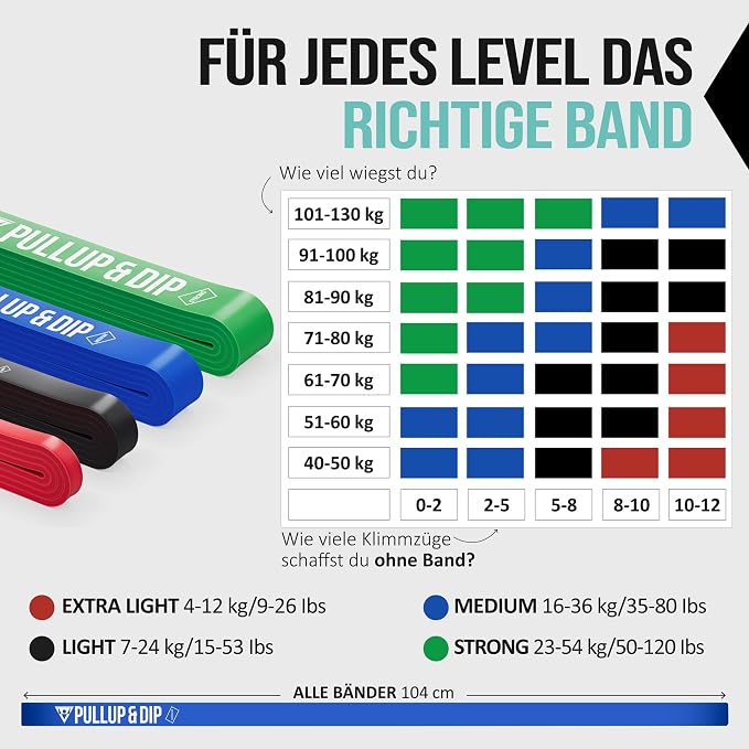 Pullup & DIP Fitness Bands, Resistance Bands with Bag, Door Anchor (with Sets) and Exercise Guide - Single & in Value Set, Pull-Up Band Fitness Band for Calisthenics