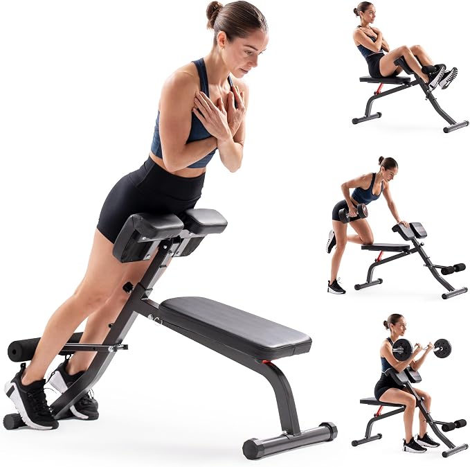 Sunny Health & Fitness Foldable Roman Chair, Back Hyperextension Bench | Adjustable Height, Folds Flat for Storage, Built in Dip Station, Targets Back, Abs & Core, Crunches & Back Extensions