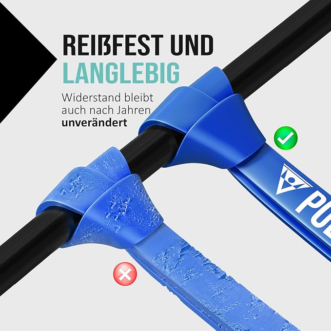 Pullup & DIP Fitness Bands, Resistance Bands with Bag, Door Anchor (with Sets) and Exercise Guide - Single & in Value Set, Pull-Up Band Fitness Band for Calisthenics