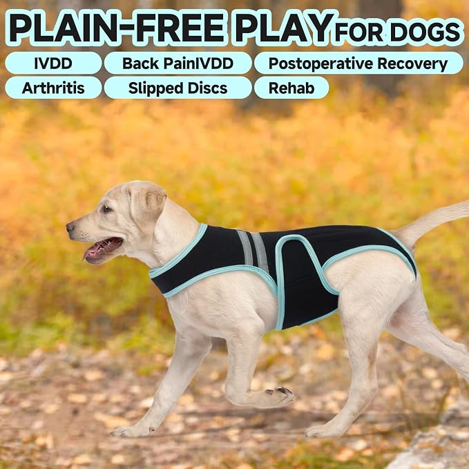 Dog Back Brace, Breathable Dog Post-Surgery Vest for IVDD, Arthritis & Spine Support, Adjustable Reflective Pet Back Bracer Pain-Relieving Harness, Black XL