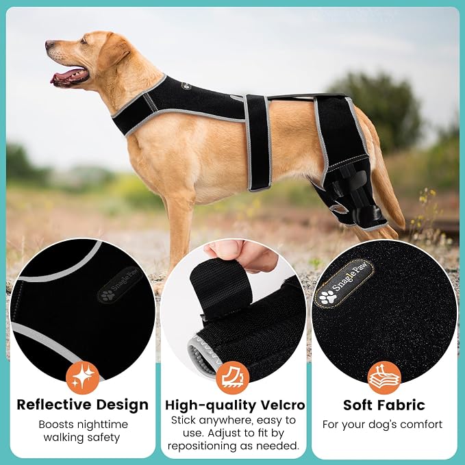 Snagle Paw Dog Knee Braces for Back Legs, ACL/CCL Support, XXL | Double-leg support, 4 reinforced stays, triple anti-slip fit, for walks, recovery, post-op care