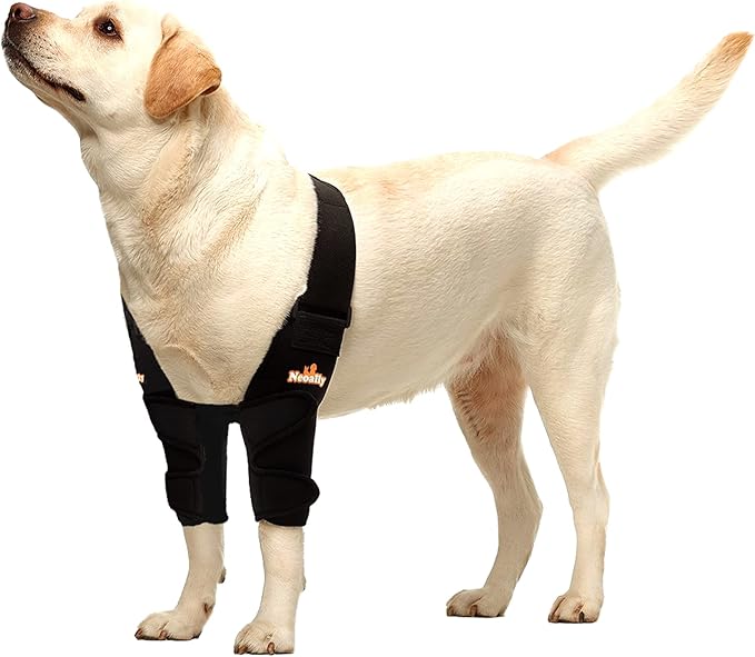 Dog Elbow Brace Protector Pads for Canine Elbow and Shoulder Support Elbow Hygroma, Dysplasia, Osteoarthritis, Elbow Calluses, Pressure Sores and Shoulder Dislocation (Both Legs, Small)