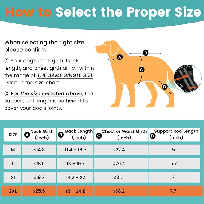 Snagle Paw Dog Knee Braces for Back Legs, ACL/CCL Support, XXL | Double-leg support, 4 reinforced stays, triple anti-slip fit, for walks, recovery, post-op care