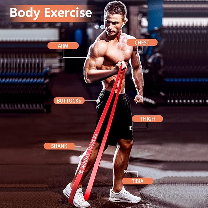 WIKDAY Resistance Bands for Working Out, Exercise Bands, Workout Bands, Pull Up Assistance Bands for Body Stretching Training Physical Therapy Muscle Training for Men & Women