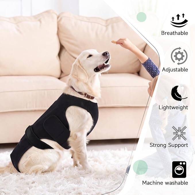 Back Brace for Dogs with Strong Spine Stability Support, Black XS | IVDD Mobility Back Brace for Pet, Breathable & Adjustable for Joint & Hip Support Senior or Less Mobile Dogs