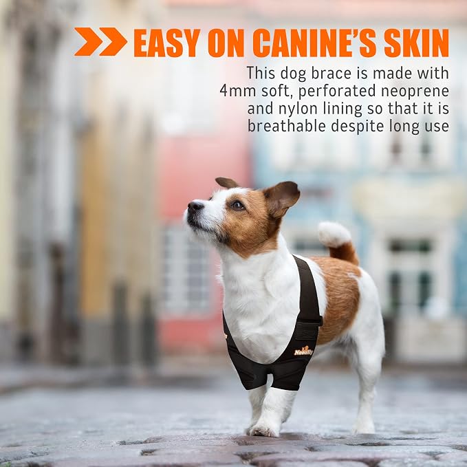 Dog Elbow Brace Protector Pads for Canine Elbow and Shoulder Support Elbow Hygroma, Dysplasia, Osteoarthritis, Elbow Calluses, Pressure Sores and Shoulder Dislocation (Both Legs, Small)