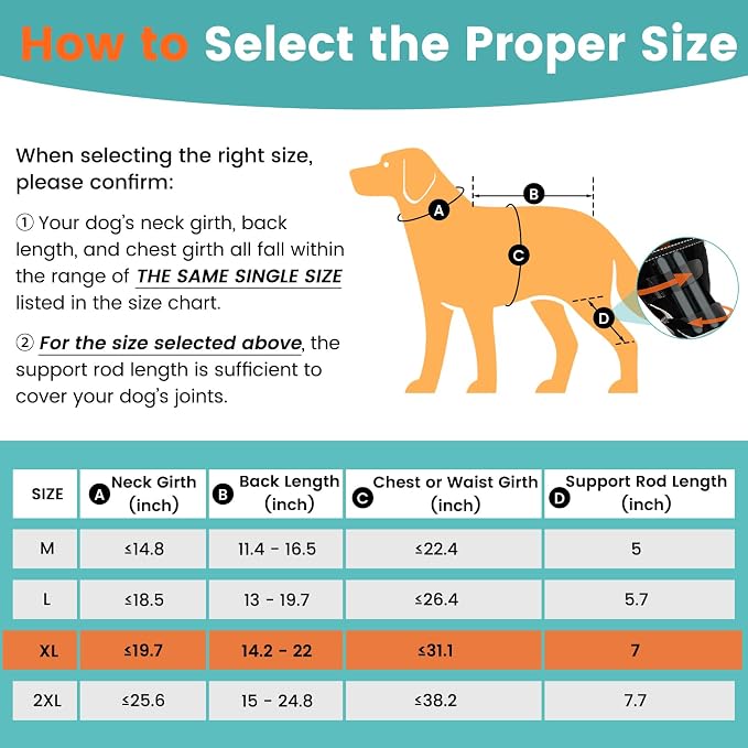 Snagle Paw Dog Knee Braces for Back Legs, ACL/CCL Support, XL | Double-leg support, 4 reinforced stays, triple anti-slip fit, for walks, recovery, post-op care
