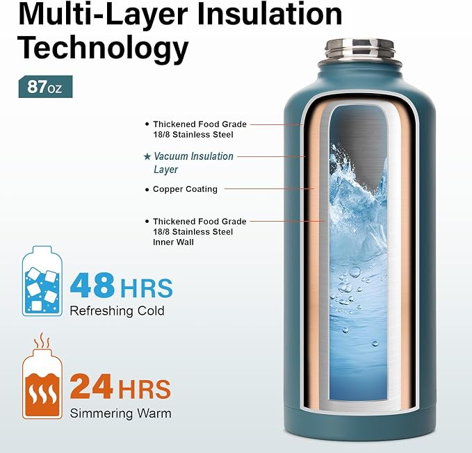 DYSANKY Insulated Water Bottle | Thickened Stainless Steel for Gym and Hiking with Straw, Carrier Bag, Handle Strap | BPA-Free 87 oz