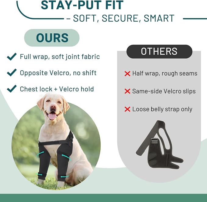 Dog Elbow Protector Brace, Dog Leg Sleeves Anti-Licking for Hygroma, Calluses & Arthritis Relief–Adjustable Dogs Elbows Pads & Shoulder Brace for Elbow Dysplasia and Injury Recovery,Both Leg M