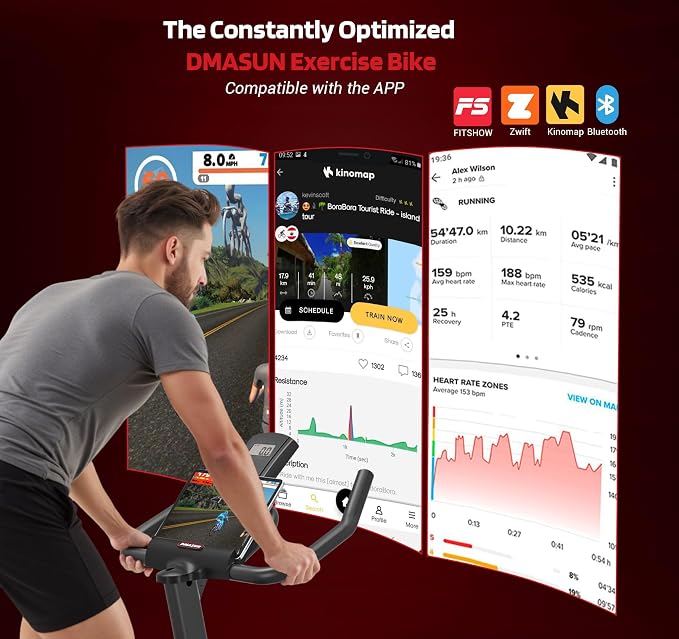 DMASUN Exercise Bike, Silent Magnetic Resistance Stationary Bike for Home with 330 LBS Capacity, Pedals with Anti-loosening Nuts, Indoor Bike with Comfortable Seat Cushion, Digital Display with Tablet Holder