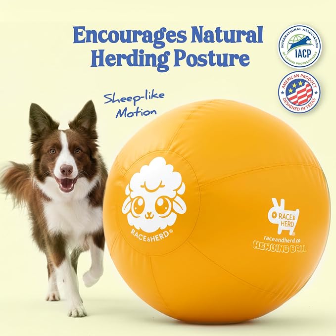 Race&Herd 22" Original Herding Ball for Dogs — Balls for Dog Toys (Gold) | Medium Herding Ball for Australian Shepherd, Border Collie, Corgi & Blue Heeler, Instinct-Driven Outdoor Exercise