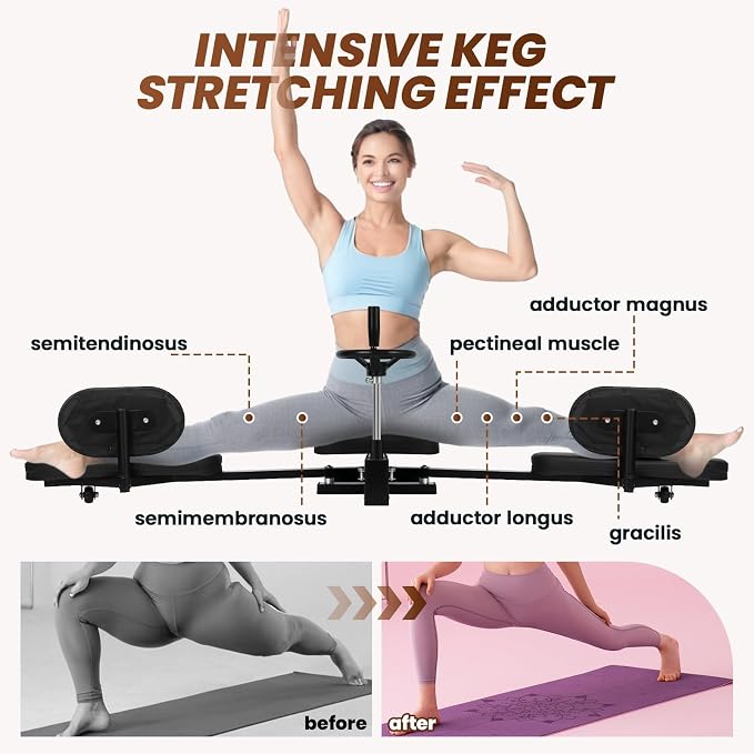 Professional Leg Stretcher, 500LBS Heavy Duty Split Machine, Industrial-Grade Stretching Equipment for Gym, Ballet, Gymnastics & Yoga Training