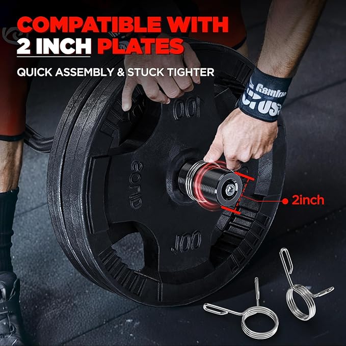 TEEMOO Olympic EZ Curl Barbell Bar, 47" Curl Bar with 2 Spring Collars, Curling bar for Weight Lifting, Squat, Hip Thrusts, Biceps, 500lb Weight Capacity, E-Coat Finish for 2 inch Weight Plates (Black)