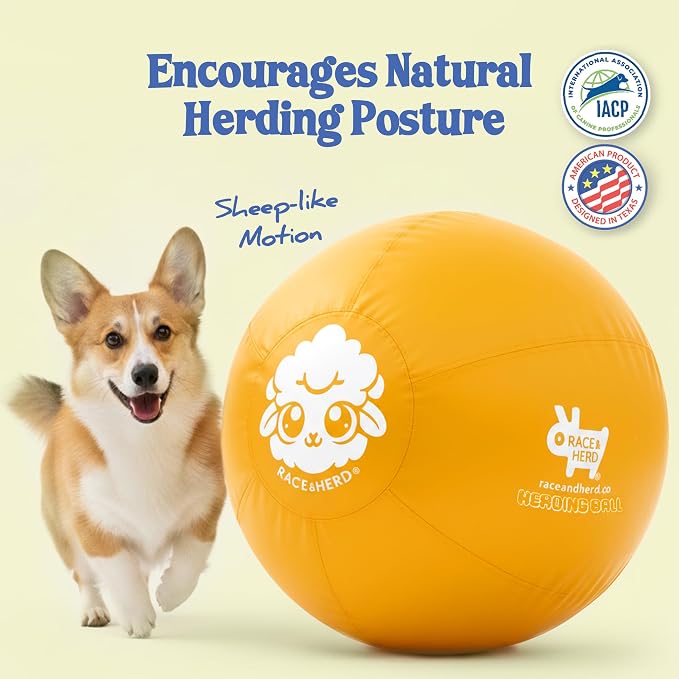 Race&Herd 18" Original Herding Ball for Dogs — Balls for Dog Toys (Gold) | Small Herding Ball for Mini Australian Shepherd, Border Collie, Corgi & Frenchie, Instinct-Driven Outdoor Exercise