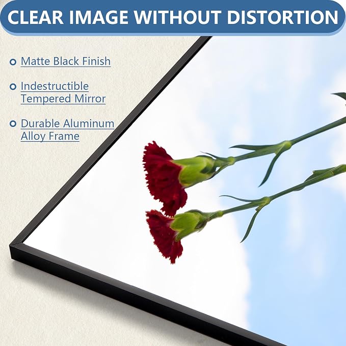 71"x32" Floor Mirror Full Length with Stand, Black, Rectangular | Free Standing or Leaning Against Wall, Wall‑Mountable, for Gym Bedroom Living Room, Aluminum Alloy Frame, Tempered Glass