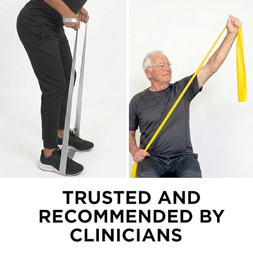 THERABAND Professional Latex Resistance Band Set, Pack of 7, 6 Ft | Professional TheraBand equipment for exercise, physical therapy, fitness and at-home workouts