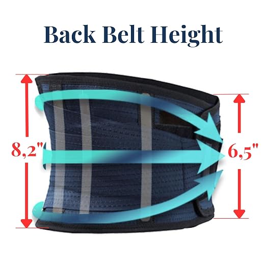 AVESTON Back Support Lower Back Brace for Back Pain Relief: Thin Breathable Rigid 6 ribs Adjustable Lumbar Support Belt for Men/Women Keeps Spine Straight and Safe – Large