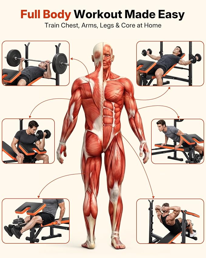 YOLEO 6 in 1 Weight Bench Set for Home Gym, Adjustable & Foldable Weight Bench, Workout Bench with Squat Rack for Bench Press Sit up Incline Flat Decline