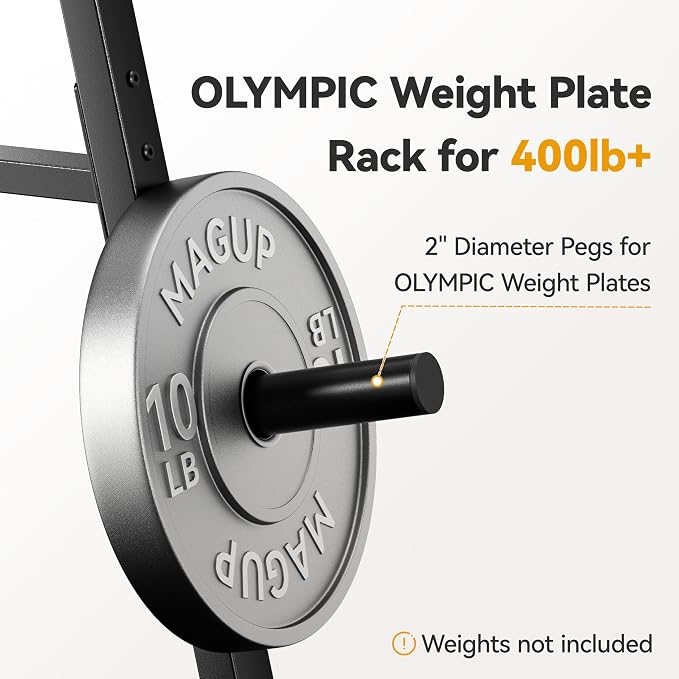 Weight Plate Rack 400LBs, Weight Tree Holder for Home Gym, Barbell & Bumper