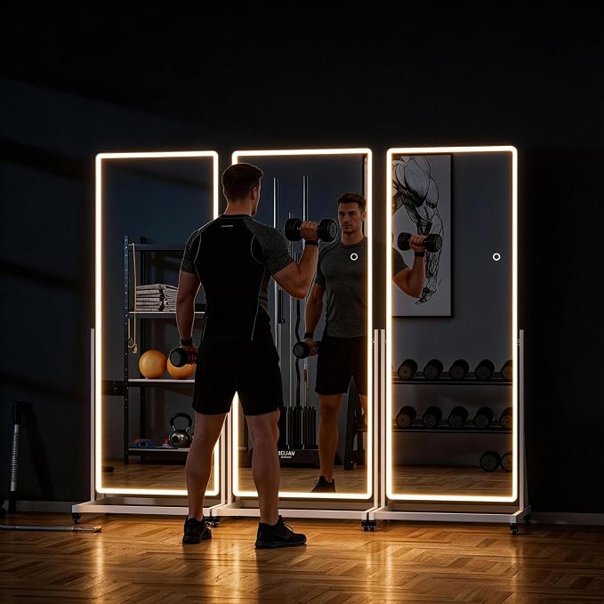 65"x18" Full Length LED Rolling Mirror, 360° Rotate | Tempered glass & metal frame, dimmable 3-color lighting, swivel stand, ideal for bedroom, dance studio & cloakroom.