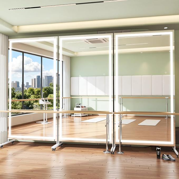 Hasipu 67" x 40" LED Full Length Mirror on Wheels, 360° Swivel, White | 3-color dimmable brightness, tempered glass & metal frame, lockable wheels, sturdy stand, for gym, yoga, studio & bedroom.