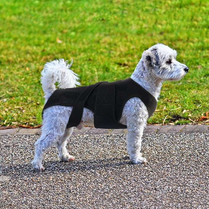 Dog Back Brace for IVDD Recovery, Adjustable Dog Spine Support Harness for Dachshund Corgi French Bulldog Pug, Pain Relief Back Protector for Senior,Post‑Surgery,Long‑Bodied & Overweight Dogs, XS