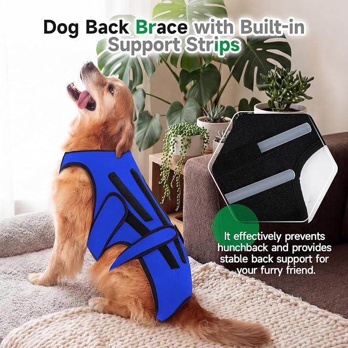 Back Brace for Dogs with Strong Spine Stability Support, Blue M | IVDD Mobility Back Brace for Pet, Breathable & Adjustable for Joint & Hip Support Senior or Less Mobile Dogs