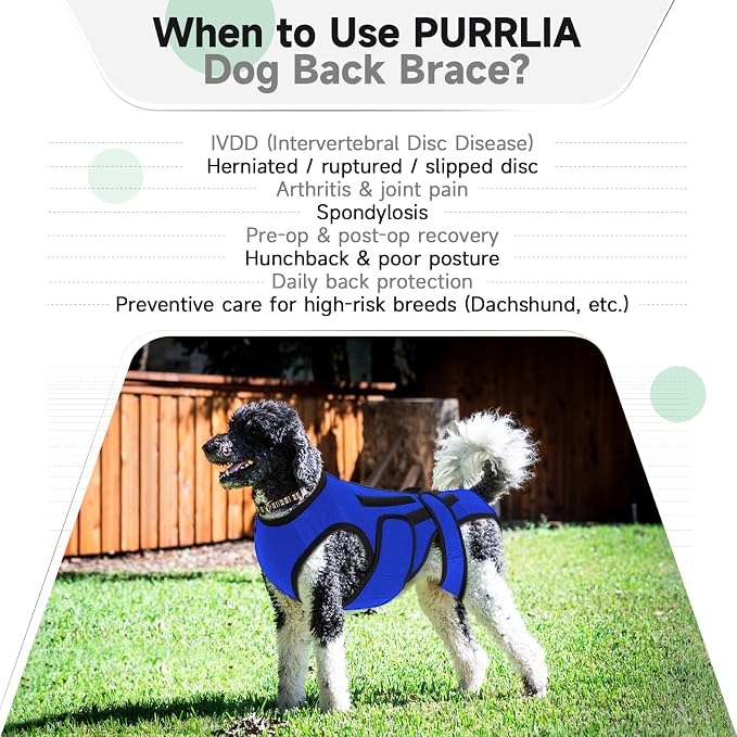Back Brace for Dogs with Strong Spine Stability Support, Blue 3XL | IVDD Mobility Back Brace for Pet, Breathable & Adjustable for Joint & Hip Support Senior or Less Mobile Dogs