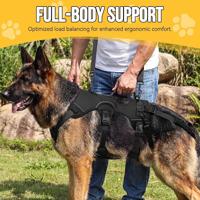 NOYAL Adjustable Dog Lift Harness with Padded Handle, Reflective Full Body Support Vest for Senior Disabled Pets, Breathable Air Mesh, Detachable Hind Leg Lifting Straps