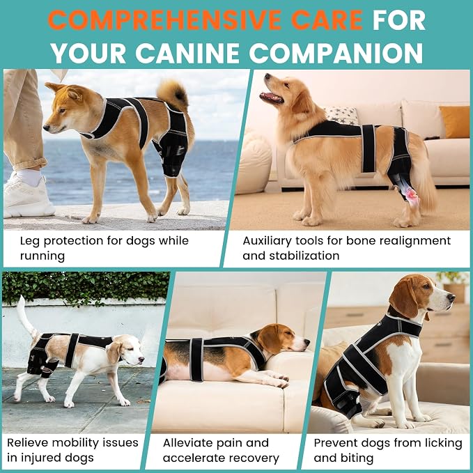 Snagle Paw Dog Knee Braces for Back Legs, ACL/CCL Support, XL | Double-leg support, 4 reinforced stays, triple anti-slip fit, for walks, recovery, post-op care